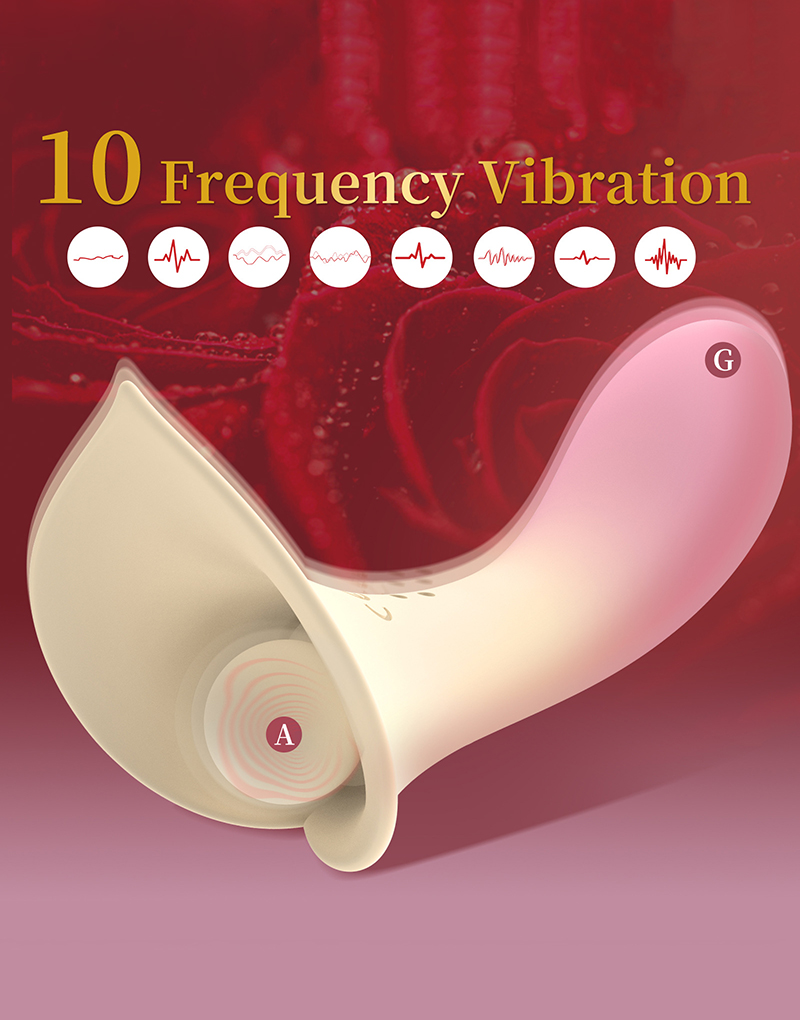 O1CN01qXhHwU2JLY5YPojrZ_!!2350119405-0-cib